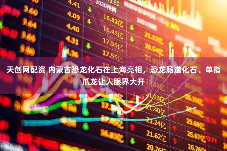 天创网配资 内蒙古恐龙化石在上海亮相，恐龙肠道化石、单指爪龙让人眼界大开