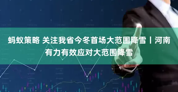 蚂蚁策略 关注我省今冬首场大范围降雪丨河南有力有效应对大范围降雪