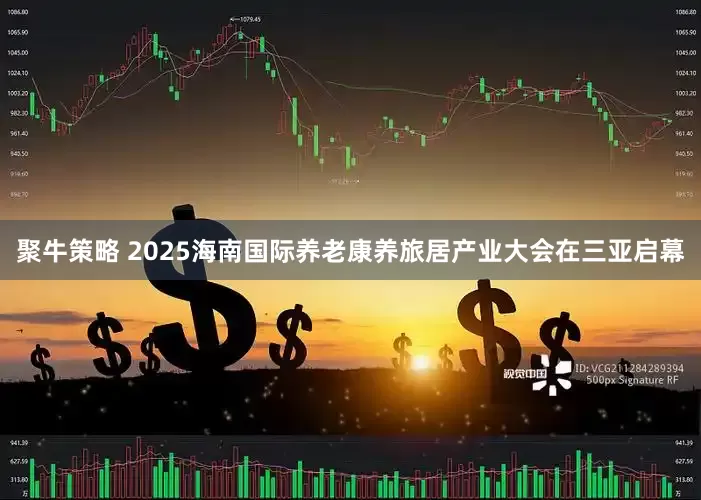 聚牛策略 2025海南国际养老康养旅居产业大会在三亚启幕