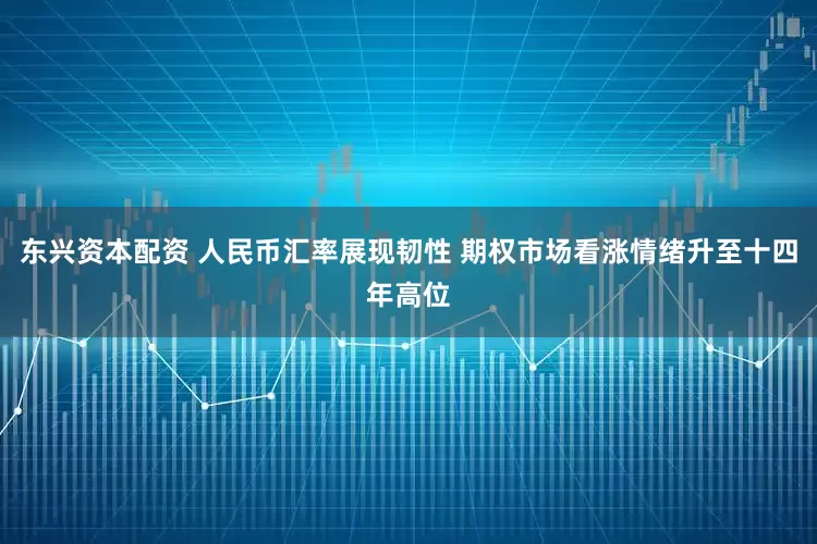 东兴资本配资 人民币汇率展现韧性 期权市场看涨情绪升至十四年高位